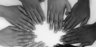 Jak dzielimy jednostki gospodarcze?