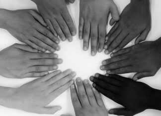 Jak dzielimy jednostki gospodarcze?