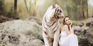 Czy obowiązkowe jest tworzenie polityki ochrony danych?