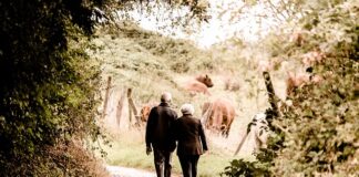 Czy będąc na emeryturze jest się ubezpieczonym?