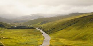 Co jest szersze podstawa czy program?