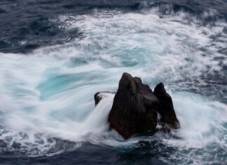 Kto reguluje ceny w gospodarce rynkowej?