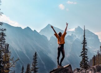 Jakie elementy powinien zawierać program nauczania? Jakie elementy powinien zawierać program nauczania?