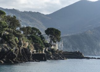 Ile kosztuje Lensa? Ile kosztuje Lensa?