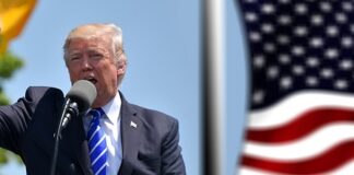 Kim jest i czym się zajmuje polityk?