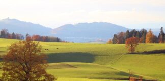 Ile to brutto 7000 netto?