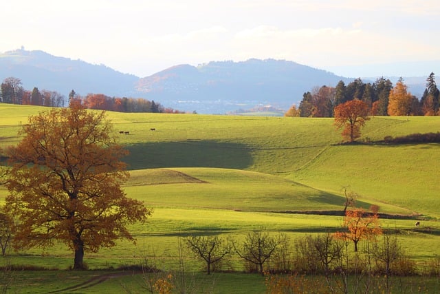 Ile to brutto 7000 netto? Ile to brutto 7000 netto?